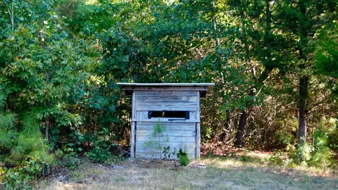 2 Ables Rd, Cherokee, AL 35616 photo 8