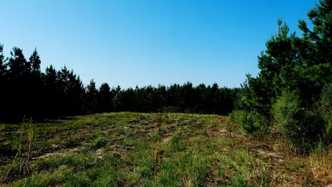 2 Ables Rd, Cherokee, AL 35616 photo 3