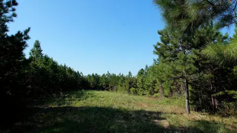 2 Ables Rd, Cherokee, AL 35616 photo 5