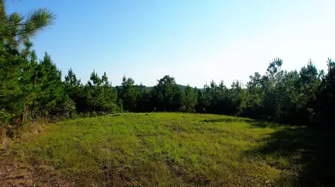 3 Ables Rd, Cherokee, AL 35616 photo 4