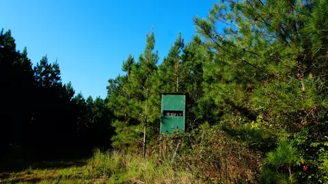 3 Ables Rd, Cherokee, AL 35616 photo 5
