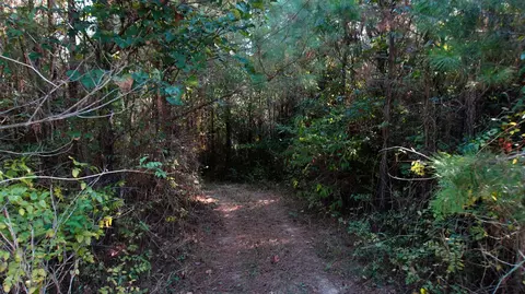 3 Ables Rd, Cherokee, AL 35616 photo 6