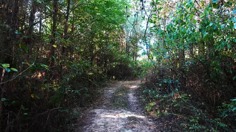 3 Ables Rd, Cherokee, AL 35616 photo 7