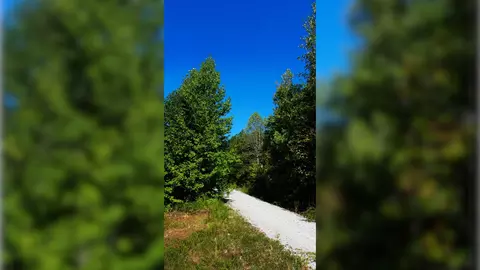 3 Ables Rd, Cherokee, AL 35616 photo 8