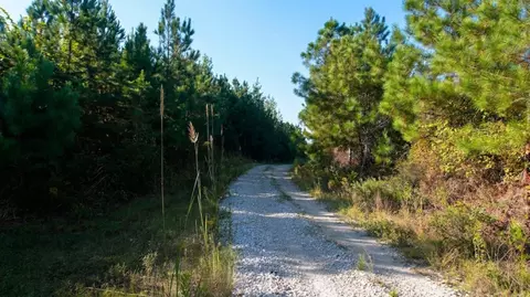 3 Ables Rd, Cherokee, AL 35616 photo 14