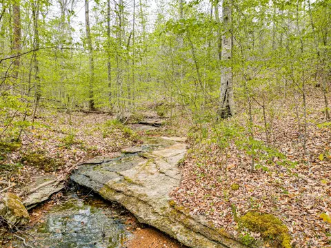 Other - 920 Mason Bates Bend Rd, Centerville, TN 37033 photo 9 of 26