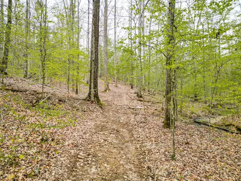 Other - 920 Mason Bates Bend Rd, Centerville, TN 37033 photo 13 of 26