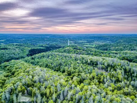 Other - 920 Mason Bates Bend Rd, Centerville, TN 37033 photo 26 of 26