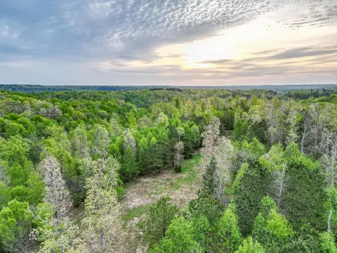 View/Area - 920 Mason Bates Bend Rd, Centerville, TN 37033 photo 6 of 15