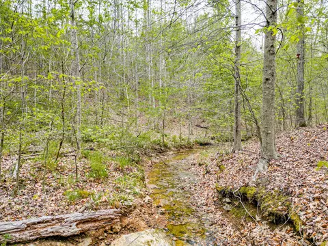 Other - 920 Mason Bates Bend Rd, Centerville, TN 37033 photo 21 of 26