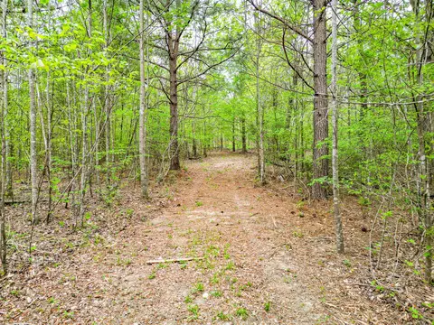 Other - 920 Mason Bates Bend Rd, Centerville, TN 37033 photo 23 of 26