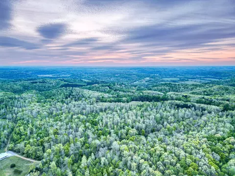 View/Area - 920 Mason Bates Bend Rd, Centerville, TN 37033 photo 12 of 15