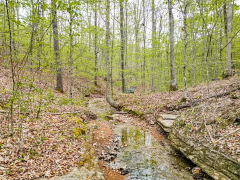 Other - 920 Mason Bates Bend Rd, Centerville, TN 37033 photo 10 of 26