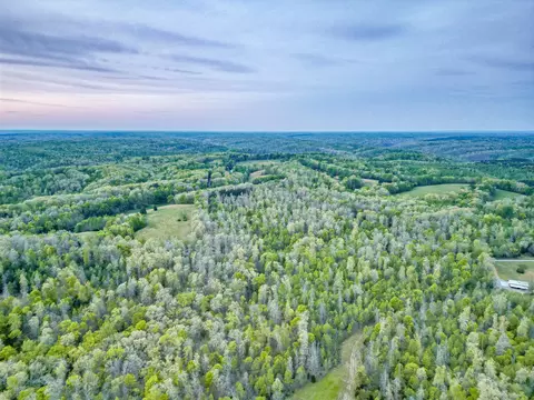 View/Area - 920 Mason Bates Bend Rd, Centerville, TN 37033 photo 9 of 15