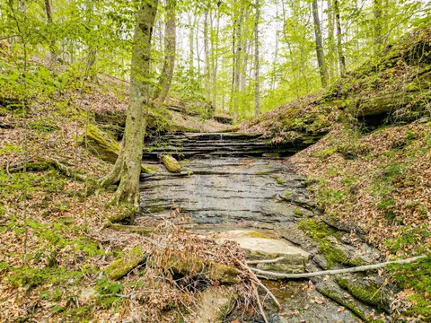 Other - 920 Mason Bates Bend Rd, Centerville, TN 37033 photo 15 of 26