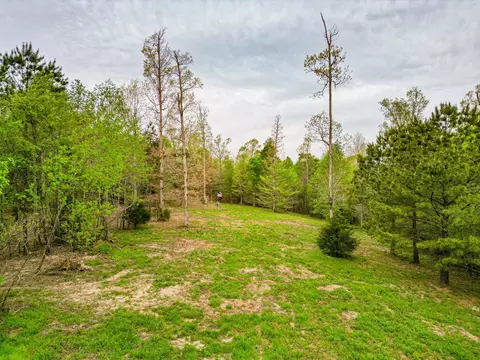 Exterior - 920 Mason Bates Bend Rd, Centerville, TN 37033 photo 17 of 24