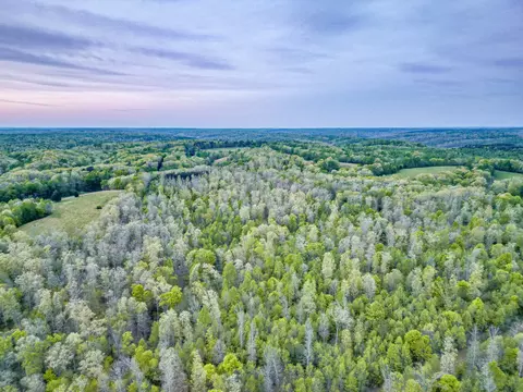 View/Area - 920 Mason Bates Bend Rd, Centerville, TN 37033 photo 10 of 15