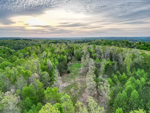 View/Area - 920 Mason Bates Bend Rd, Centerville, TN 37033 photo 5 of 15