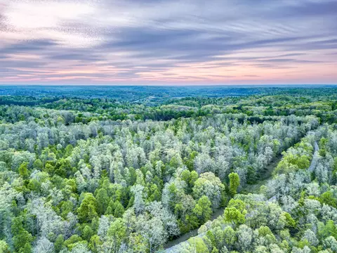 View/Area - 920 Mason Bates Bend Rd, Centerville, TN 37033 photo 13 of 15