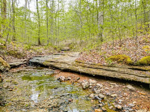 Other - 920 Mason Bates Bend Rd, Centerville, TN 37033 photo 8 of 26