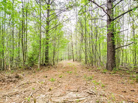 Other - 920 Mason Bates Bend Rd, Centerville, TN 37033 photo 24 of 26