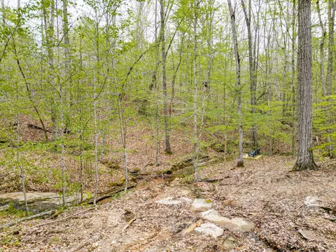 Exterior - 920 Mason Bates Bend Rd, Centerville, TN 37033 photo 14 of 24