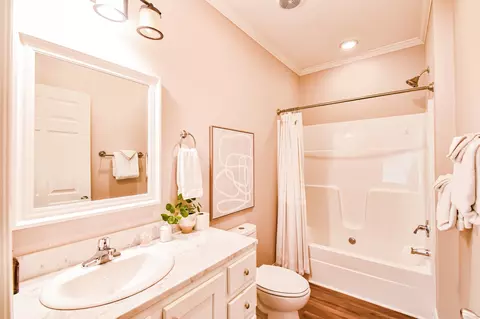 Bath - 920 Mason Bates Bend Rd, Centerville, TN 37033 photo 3 of 3