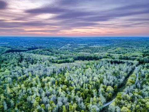 View/Area - 920 Mason Bates Bend Rd, Centerville, TN 37033 photo 7 of 15
