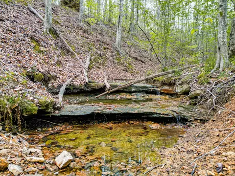 Other - 920 Mason Bates Bend Rd, Centerville, TN 37033 photo 18 of 26