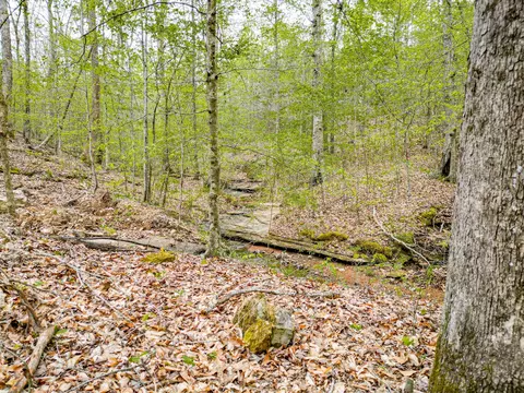 Other - 920 Mason Bates Bend Rd, Centerville, TN 37033 photo 12 of 26
