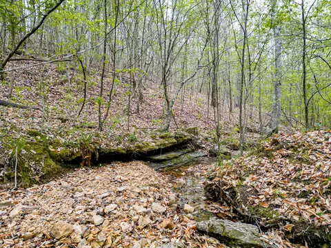 Other - 920 Mason Bates Bend Rd, Centerville, TN 37033 photo 19 of 26