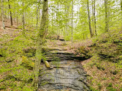 Other - 920 Mason Bates Bend Rd, Centerville, TN 37033 photo 16 of 26