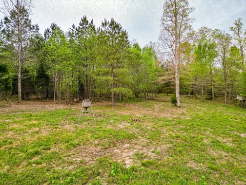 Exterior - 920 Mason Bates Bend Rd, Centerville, TN 37033 photo 16 of 24