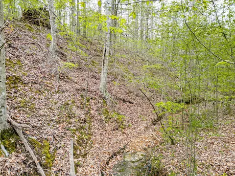 Other - 920 Mason Bates Bend Rd, Centerville, TN 37033 photo 20 of 26