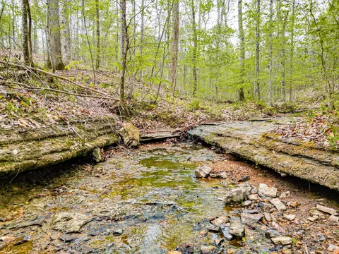 Other - 920 Mason Bates Bend Rd, Centerville, TN 37033 photo 11 of 26