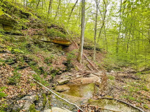 Other - 920 Mason Bates Bend Rd, Centerville, TN 37033 photo 14 of 26