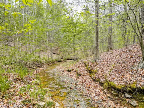 Other - 920 Mason Bates Bend Rd, Centerville, TN 37033 photo 17 of 26