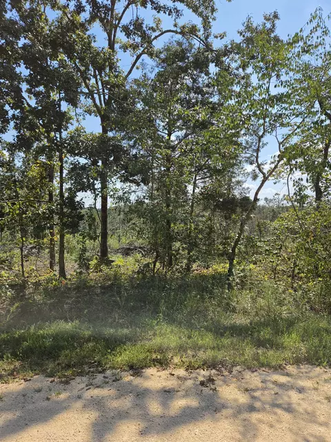 0 Woodland Rd, Hohenwald, TN 38462
