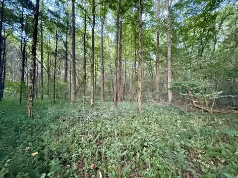 0 Hillcrest Dr, Dickson, TN 37055 photo 12