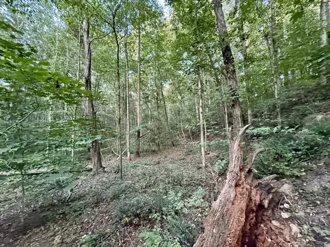 0 Hillcrest Dr, Dickson, TN 37055 photo 9