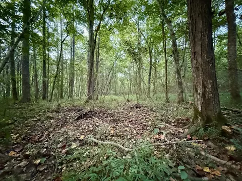 0 Hillcrest Dr, Dickson, TN 37055 photo 3