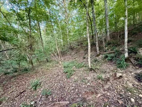 0 Hillcrest Dr, Dickson, TN 37055 photo 10