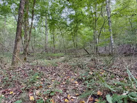 0 Hillcrest Dr, Dickson, TN 37055 photo 13