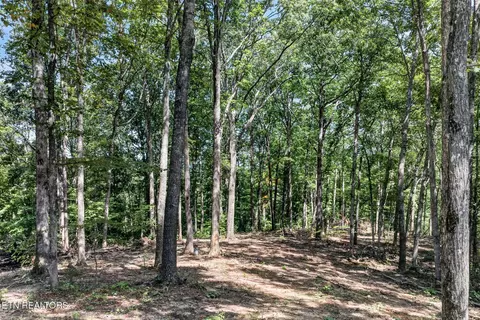 40 Pioneer Trail Ln, Crawford, TN 38554