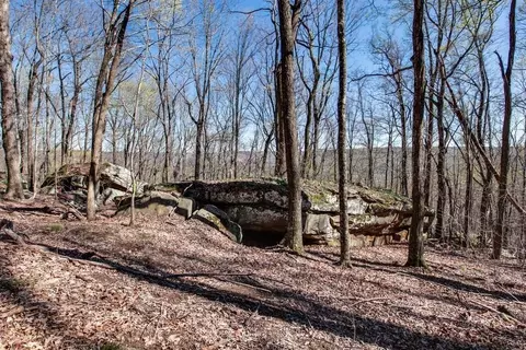8 Long Mountain Trl, Mcminnville, TN 37110