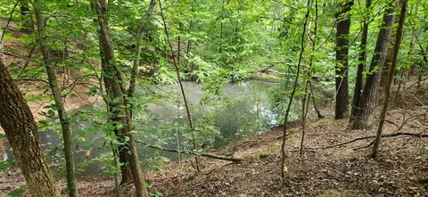0 E Haleys Creek Rd, Centerville, TN 37033 photo 10