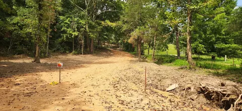 0 E Haleys Creek Rd, Centerville, TN 37033 photo 6