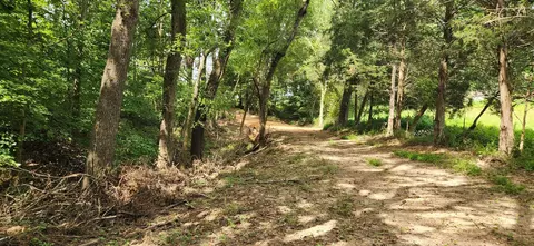 0 E Haleys Creek Rd, Centerville, TN 37033 photo 8