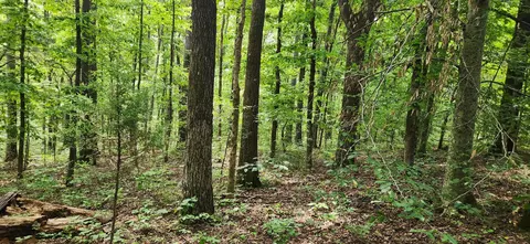0 E Haleys Creek Rd, Centerville, TN 37033 photo 9