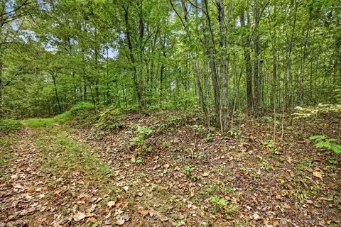 0 Timber Ridge Ln, Celina, TN 38551